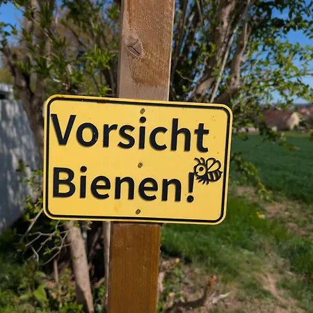 Lägenhet Ruhiges Im Gruenen Bei Dresden *