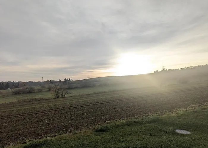 Ruhiges Im Gruenen Bei Dresden *